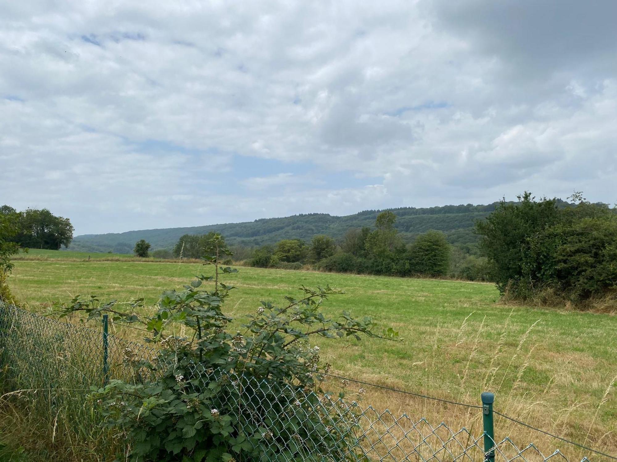 Chalet Lizelle Durbuy Zewnętrze zdjęcie